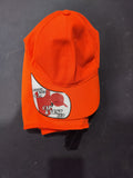Safety vest and hat