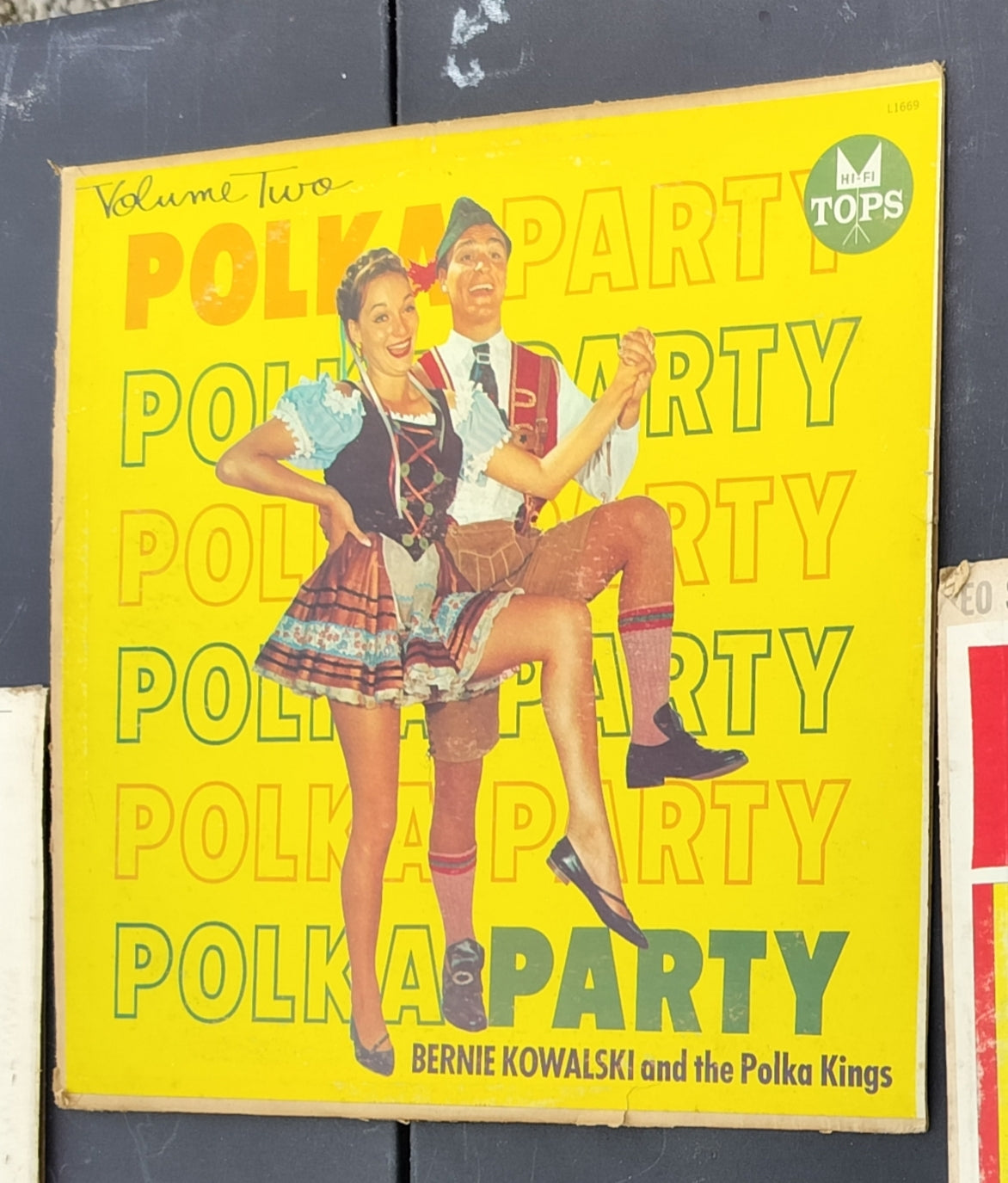 Polka Party